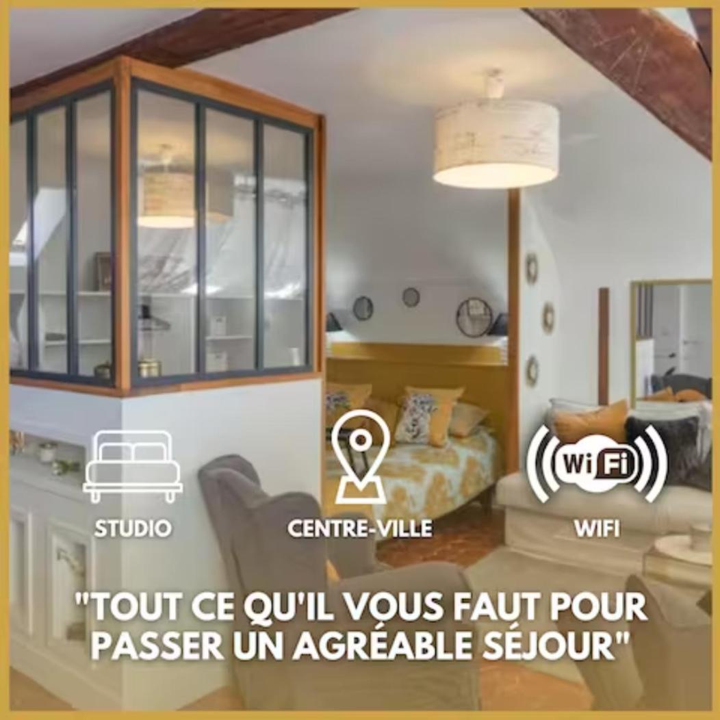Le Sainte Anne *Studio* Lägenhet Orléans Exteriör bild
