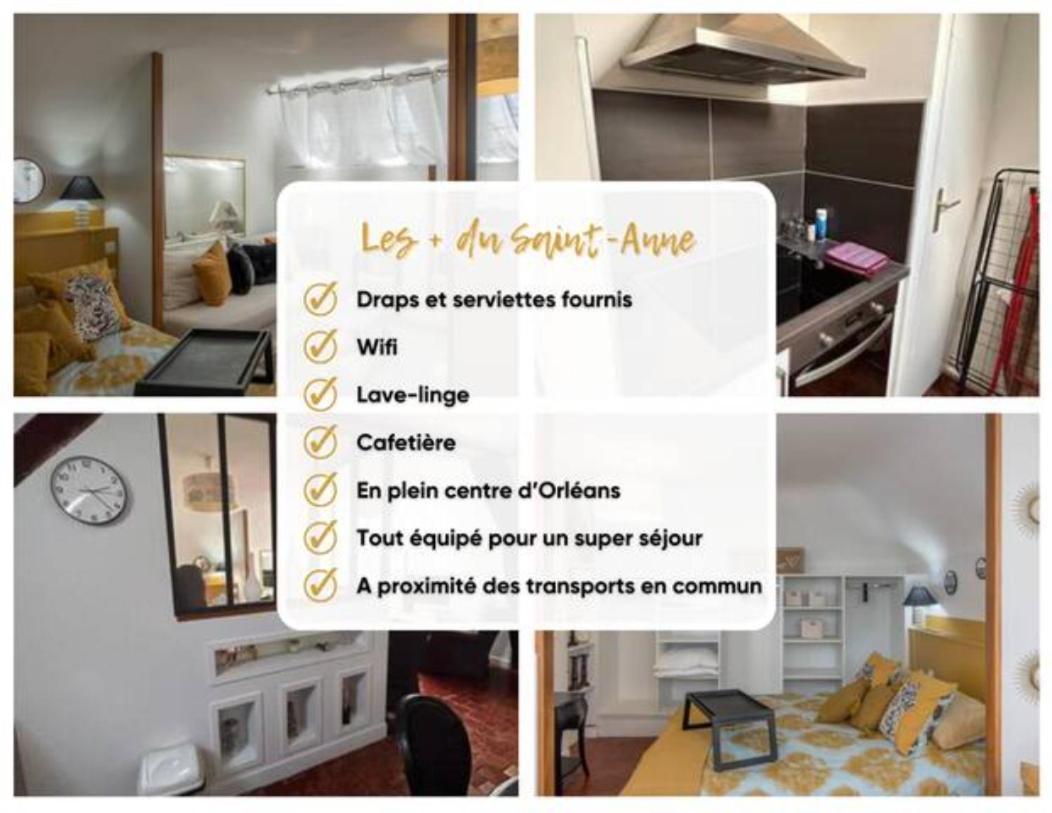 Le Sainte Anne *Studio* Lägenhet Orléans Exteriör bild